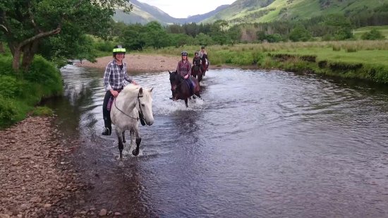 Pony Trekking